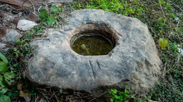 డెంగీ, దోమలు, జ్వరం, వర్షం నీళ్లు