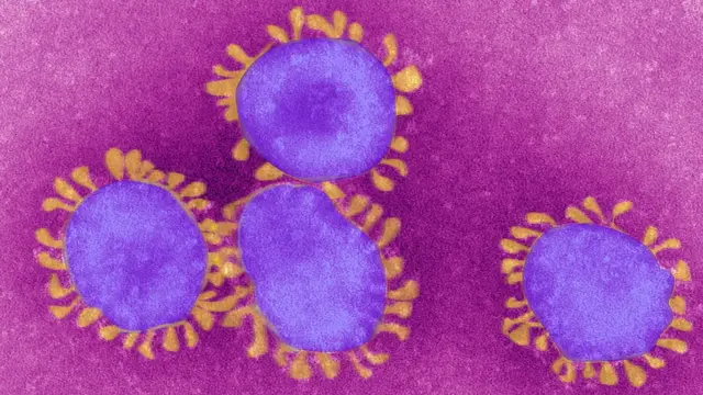 கொரோனா வைரஸ்