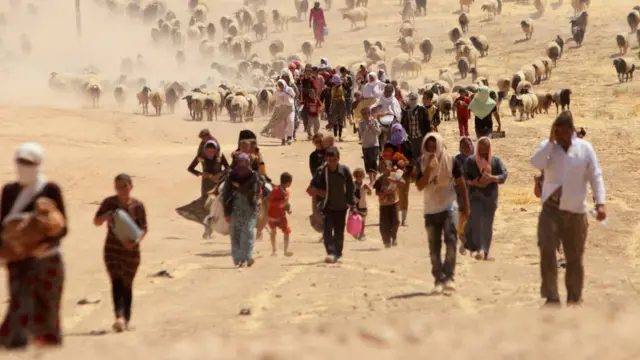 Yazidíes desplazados en Sinjar