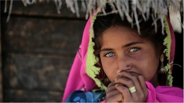 समान नागरी कायदा