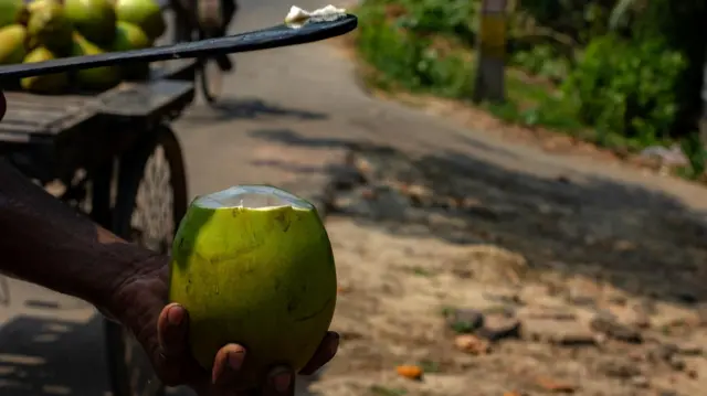 શું ઉનાળામાં શેરડી ખાવી જોઈએ?