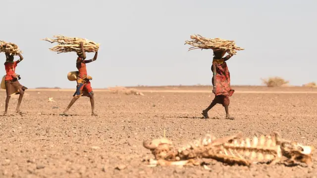 Perempuan Turkana membawa kayu bakar di wilayah yang mengalami kekeringan jangka panjang di Kenya (Juli 2022)