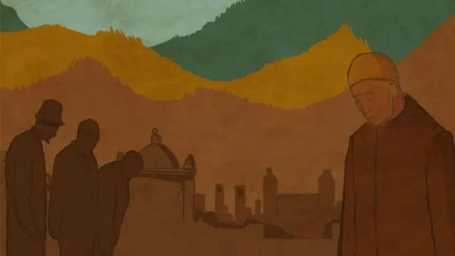 2020-жылы медициналык кызматка жетпегендер болду, өлүм-житим көп болду