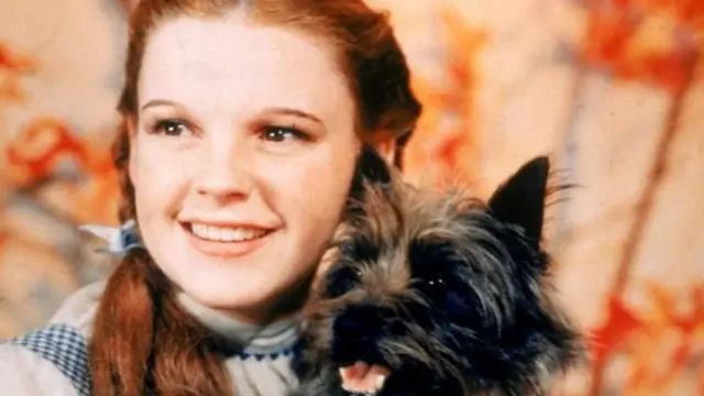 जूडी गार्लेंड