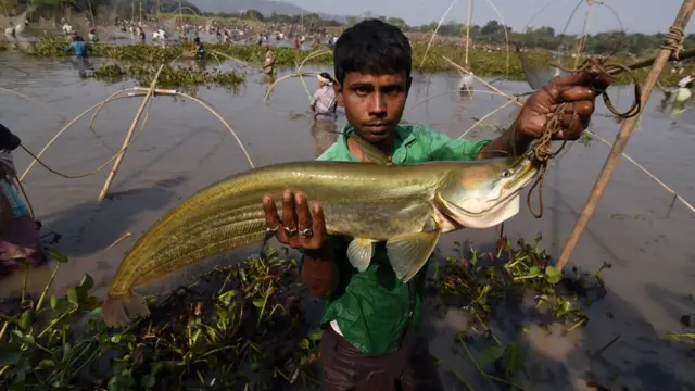 असम में बिहु