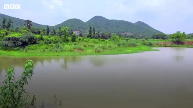 ఏనుగుల దాడి