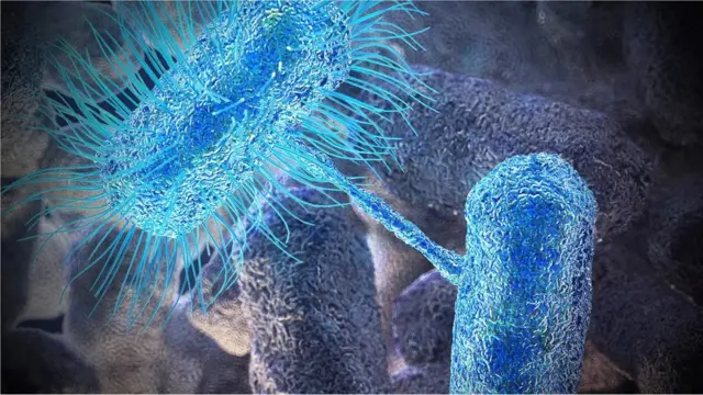 Antibiotici, otpornost