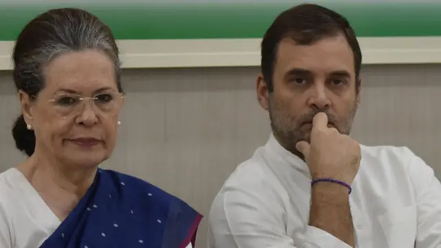 सोनिया गांधी, राहुल गांधी