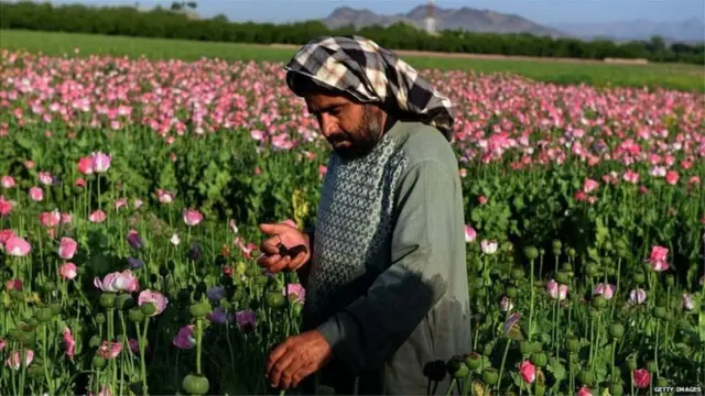 अफगाणिस्तान, तालिबान, अमेरिका
