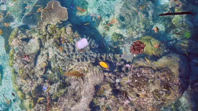 พลาสติกลอยอยู่เหนือแนวปะการัง