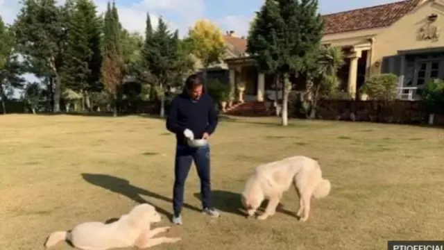 عمران خان