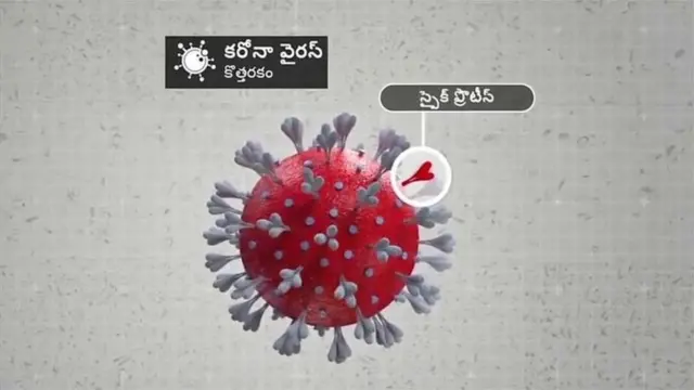 కరోనా వైరస్