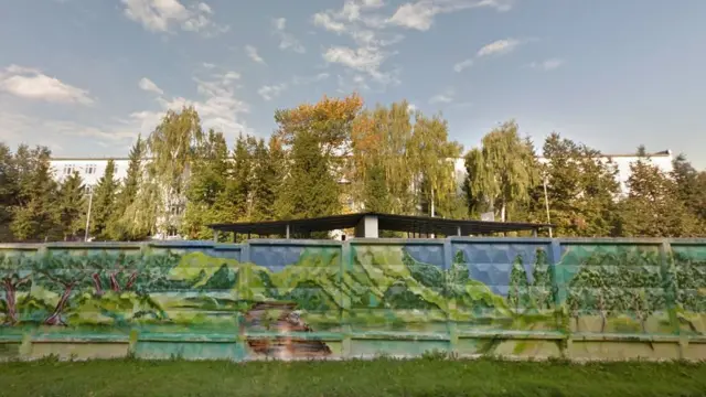 ПНИ № 30, вид из-за забора