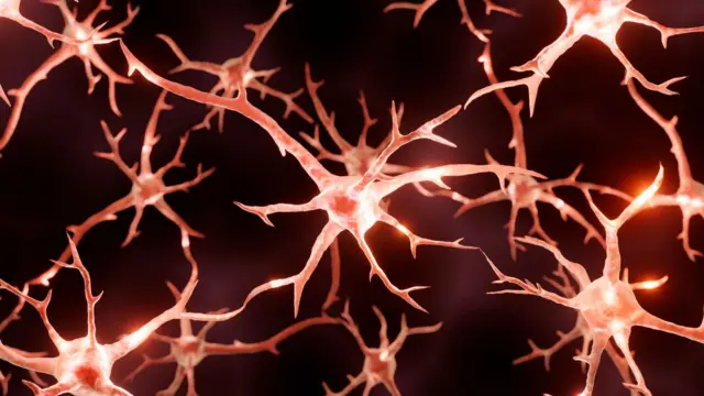 Мээдеги нейрондор өлө баштаганда, эс тутум начарлайт