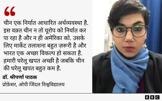 प्रोफ़ेसर श्रीपर्णा पाठक 