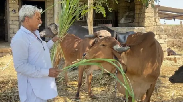 சாதி, மதம், தலித், குஜராத்