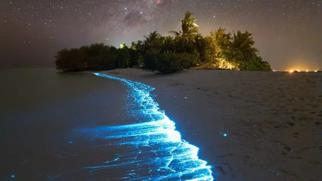 సీ ఆఫ్ స్టార్స్