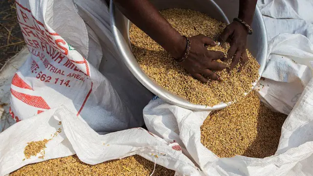 நெல் உற்பத்திக்கான ஊக்கத்தொகையை மத்திய அரசு நிறுத்தச் சொல்கிறதா? ஸ்டாலின் கூறுவது என்ன?