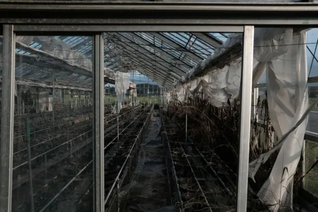 Uma estufa abandonada em Futaba, província de Fukushima, Japão