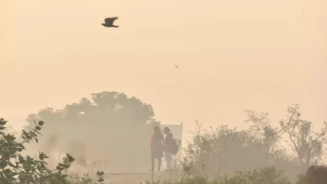 Индия абада PM2.5 эң көп болгон өлкөлөрдүн катарына кирет