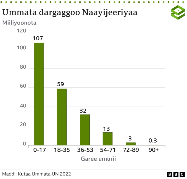 Baayina dargaggoo Naayijeeriyaa