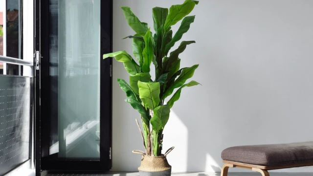 போலியான படங்களை கண்டறிவதற்கான ஐந்து சிறந்த வழிகள்