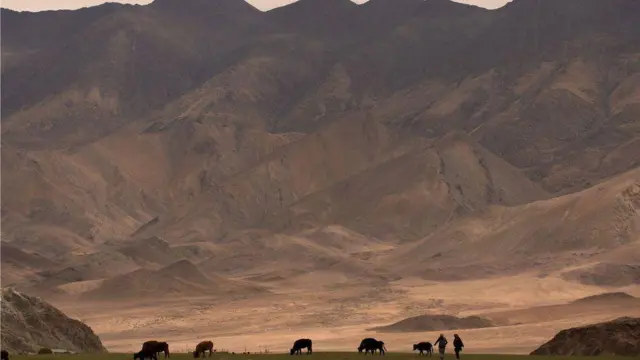 బీబీసీ ఉమెన్ ఆఫ్ ది ఇయర్