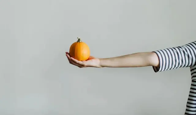 Cette image montre une petite citrouille orange tenue dans une main.