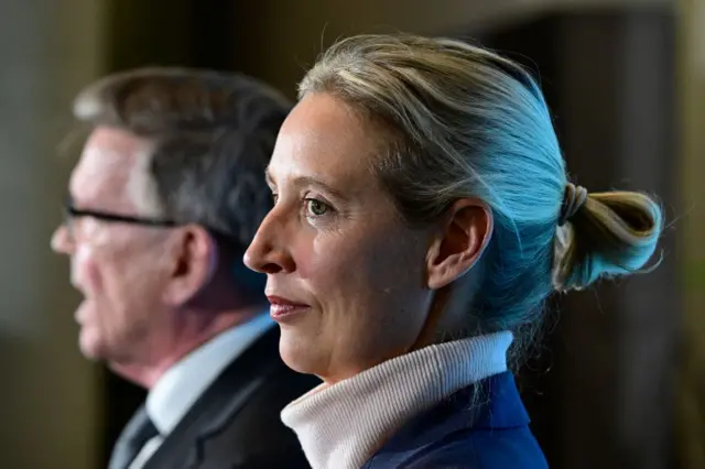 Alice Weidel profilden görünüyor ve uzaklara bakıyor