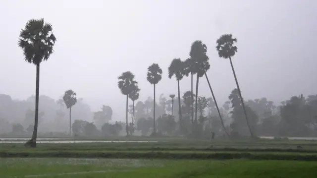 ગુજરાતનું હવામાન ચોમાસું