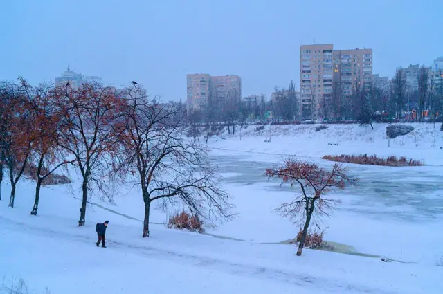 Заснеженный парк 