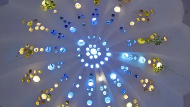 （Credit: Sara Toth Stub）