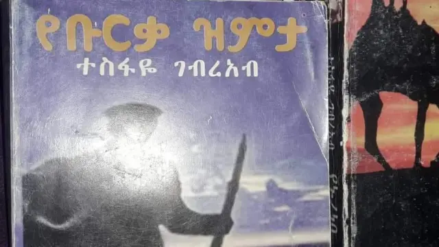የቡርቃ ዝምታ መጽሐፍ ሽፋን