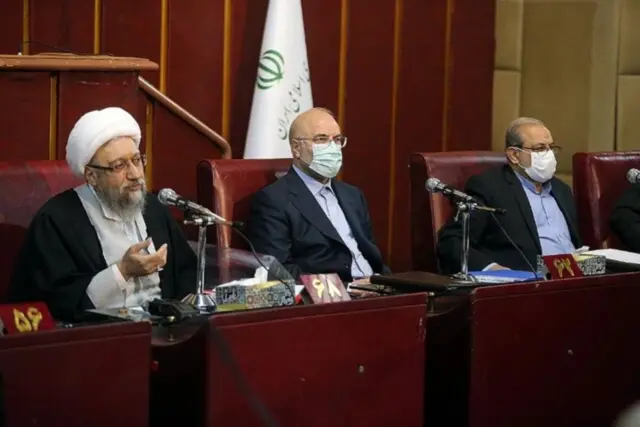 مجمع تشخیص مجمع نظام با وجود ایرادات اولیه به لایحه، آن را تایید کرد و صادق لاریجانی رئیس مجمع گفت که این طرح در مقایسه با قوانین موجود تحول جدید محسوب نمیشود