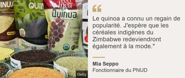 Citation de Mia Seppo