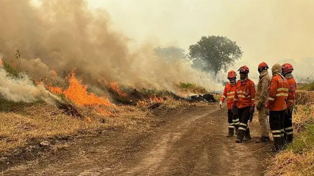 Bombeiros tentam controlar um focobaixar pixbet 2024incêndio no Pantanal no dia 13baixar pixbet 2024novembro