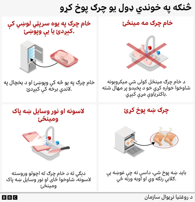 انځوریز ګرافیکونه د روغتیا د نړیوال سازمان (WHO) لارښوونې ښيي، چې چرګ څنګه چمتو شي.
لومړی انځور یخچال ښيي او یو غشی د لاندې پوړ پر لور اشاره کوي، چیرې چې باید چرګ کېښودل شي تر څو یې اوبه پر نورو خوړو ونه څاڅي.
دوهم انځور کې خام چرګ په لاسمینځي کې د روان نل لاندې ښکاري، او پر انځور یو لوی (✖) نښه ده، چې معنا یې دا ده: خام چرګ مه مینځئ.
درېیم انځور یو لاس ښيي، چې په سنک کې د پرې کولو تخته او چاقو مینځي، څو دا وښيي چې د خام چرګ له چمتو کولو وروسته باید لاسونه او وسایل ښه ومینځل شي.
څلورم انځور تنور ښيي او یو غشی تنور ته اشاره کوي، چې پر پطنوس کې له بخاره ډک چرګ پکې دی او سپارښتنه کوي چې چرګ باید ښه پوخشي، ځکه همدا یوازینۍ لاره ده چې باکتریاوې له منځه یوسي.
