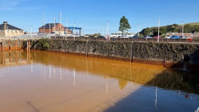 Agua anaranjada en el puerto de Whitehaven. Varios coches aparcados al fondo y árboles y una colina a lo lejos.