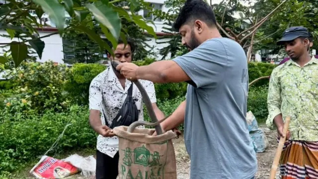 සුදු පැහැති කමිසයක් ඇඳ කළු පැහැති බාගයක් දමාගෙන සිටින පුද්ගලයෙකු දුබුරු පති ගෝනියක් අල්ලාගෙන සිටියි. අළු පැහැති ටි ෂර්ට් එකකින් සැරසුණු පුද්ගලයෙන් එම ගෝනියෙන් සර්පයෙකු පිටටත ගනිමින් සිටියි. තවත් පුද්ගලයෙක් පසෙකින් පොල්ලක් අතැතිව සිටියි.