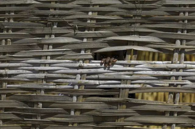 A boy looks through a gap in a fence.