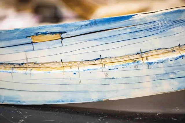 Розколотий навпіл бивень улабораторії вивчення стабільних ізотопів на Алясці. Синя фарба використовувалася для виявлення ліній росту тварини