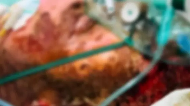مایل هروی