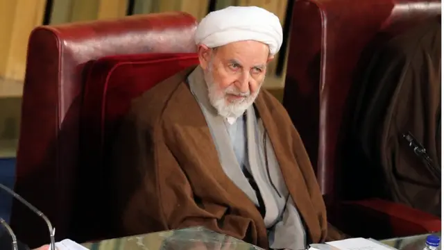 محمد یزدی ، عضو شورای نگهبان