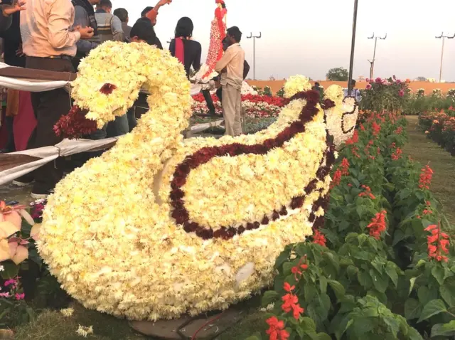 ફ્લાવર શો.