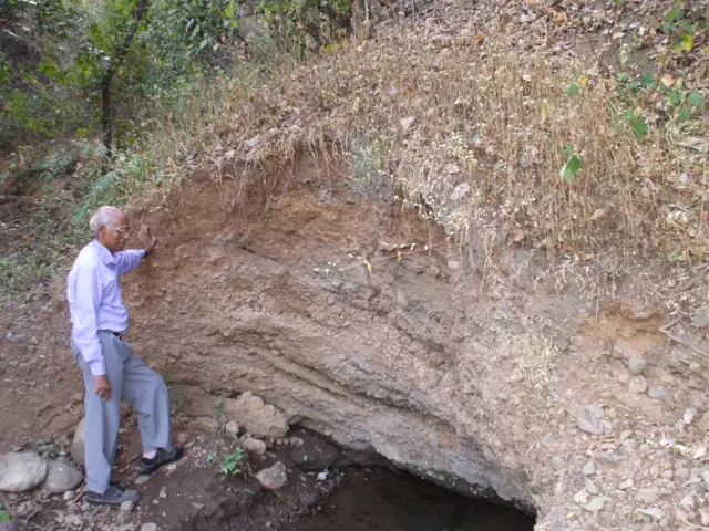 डॉ. शरद राजगुरू