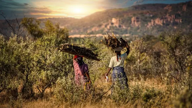 Dubartoota qoraan cabsanii deebii'an