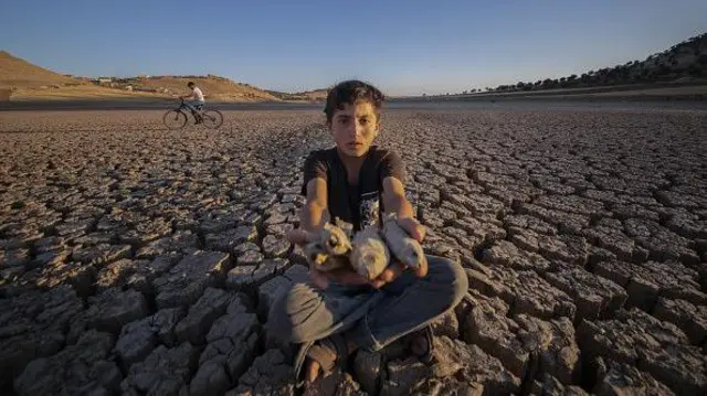 Bir çocuk kuru gölün üzerinde oturmuş ölü balıkları kameraya gösteriyor - Mardin, 4 Temmuz 2025 