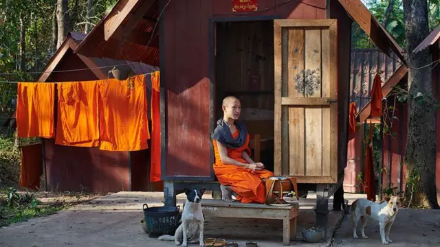 Jovem monge sentado junto a dois cachorros, ao lado de um varal com roupas secando