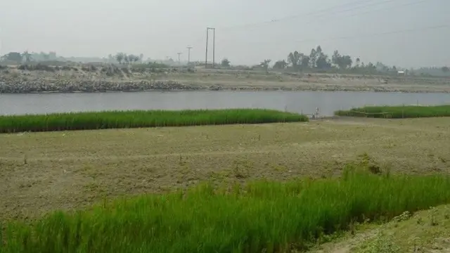 নদী শুকিয়ে আশপাশে কৃষি জমি বেড়েছে। তাই এলাকার অনেকেই অবশ্য খুশি।