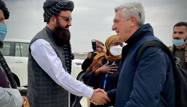 فلیپو